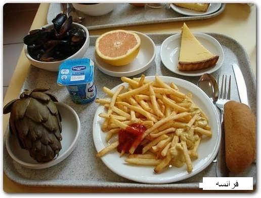 غذای دانشجویان ایران و جهان