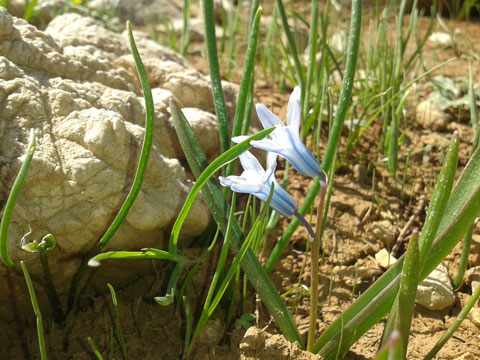 http://s4.picofile.com/file/7731911933/201301301_1_.jpg