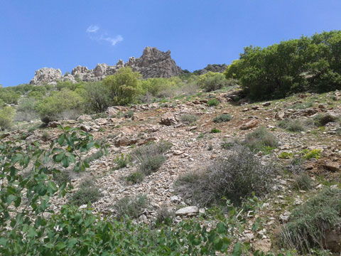 http://s4.picofile.com/file/7731912789/201301301_4_.jpg