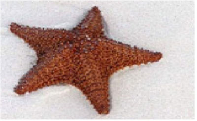 http://s4.picofile.com/file/7733701826/454545.jpg