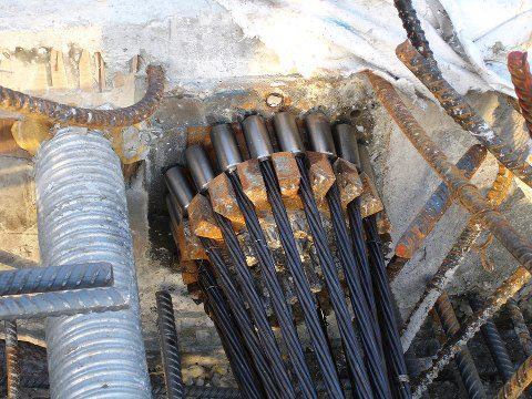 Coupler bearing - tension-tendons