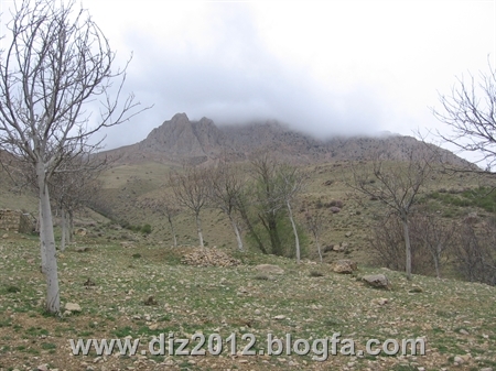 http://s4.picofile.com/file/7735380856/IMG_0984.jpg