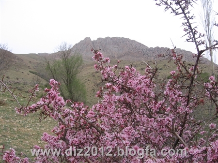 http://s4.picofile.com/file/7735383545/IMG_1002.jpg