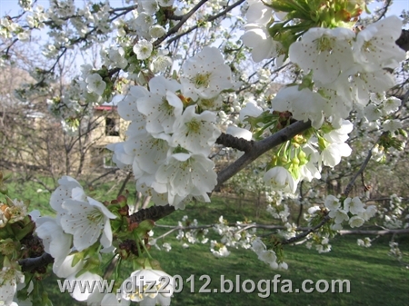 http://s4.picofile.com/file/7735391719/IMG_1068.jpg