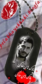 پلاک های خاکی