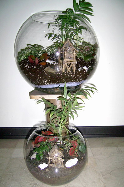 تراریوم terrarium - باغ شیشه ای 