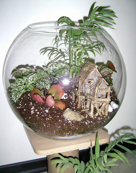 تراریوم terrarium - باغ شیشه ای