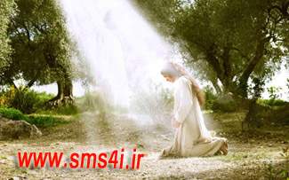 اس ام اس برای من www.sms4i.ir