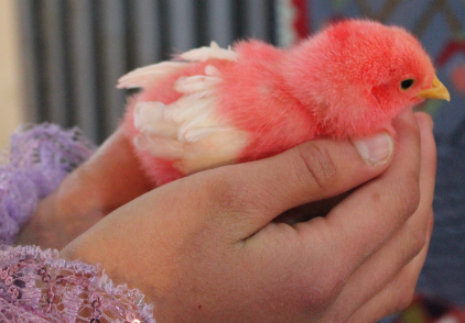 27_04_2013_5_42_57_PM.png (422×294)