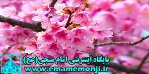 http://s4.picofile.com/file/7742284943/%D8%A8%D9%87%D8%A7%D8%B13.jpg