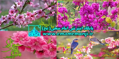 http://s4.picofile.com/file/7743370856/p1.jpg