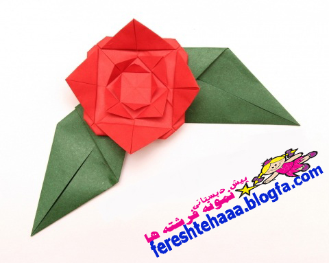 http://s4.picofile.com/file/7744896876/IMG_2271.jpg