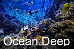 www.suherfe.blogfa.com
