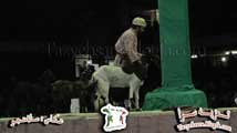 تعزيه قودجان 91