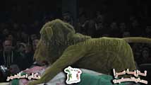 تعزيه قودجان 91