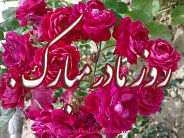 روز مادر مبارک .