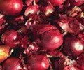 http://s4.picofile.com/file/7754032468/51131_525.jpg