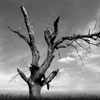 قالب غمگین - قالب 002 تم اسکین