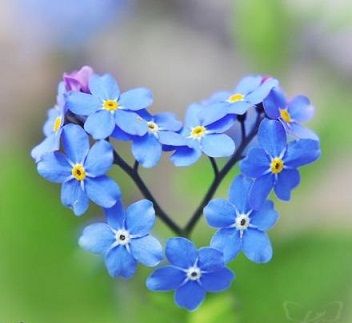 7239_ashpazonline_weblog_1349512279.jpg