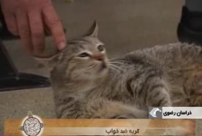 صرفا جهت اطلاع