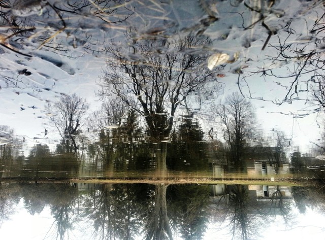 reflection_lake.jpg