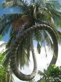 http://s4.picofile.com/file/7766740321/thumb5.jpg