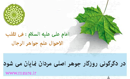 ساری گاهنوشتهای محمود زارع
