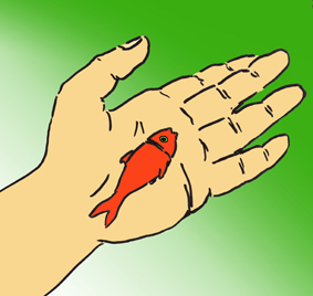 داستان امام جواد علیه السلام