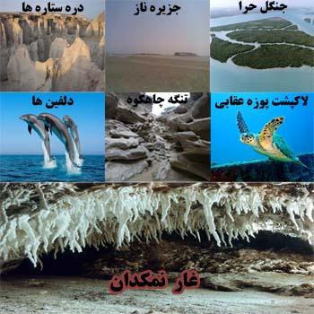 http://s4.picofile.com/file/7774203652/9876.jpg