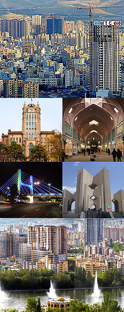 ویکی پدیا