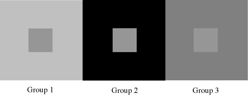 http://s4.picofile.com/file/7801410428/simultaneoscontrasteffect.jpg