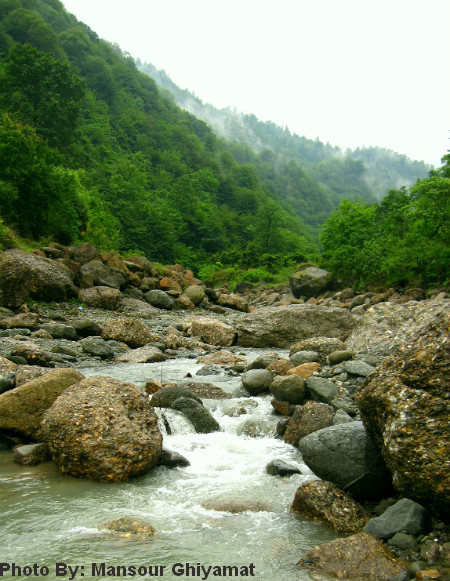 عکس طبیعت زیبای شمال
