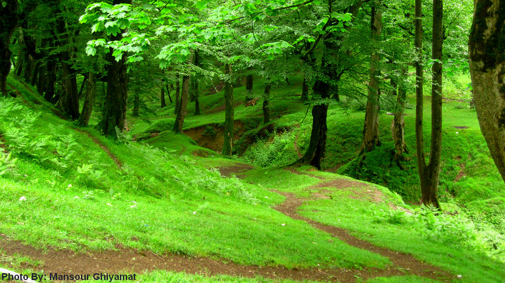 عکس طبیعت زیبای شمال