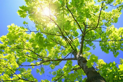 http://s4.picofile.com/file/7810344836/normal_1_127_.jpg
