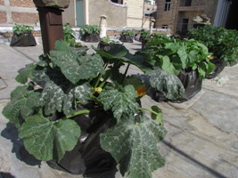 ایده های اقتصادی