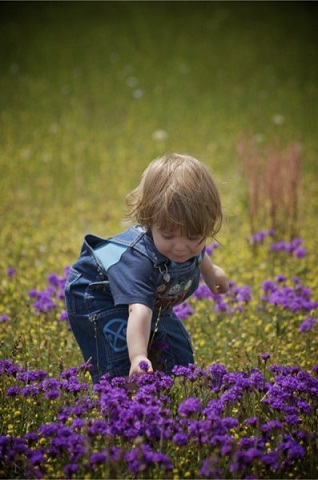 AFlowerforMommy_397x600.jpg