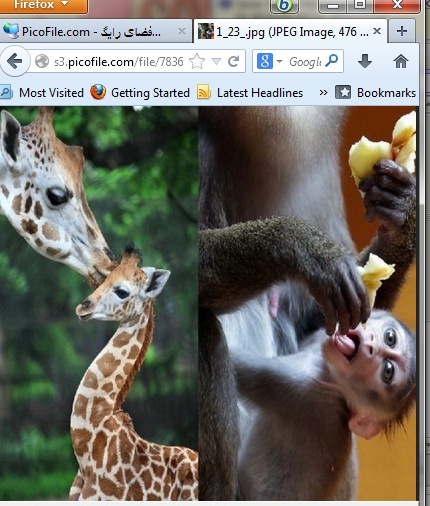 http://s4.picofile.com/file/7836470428/22html1.jpg