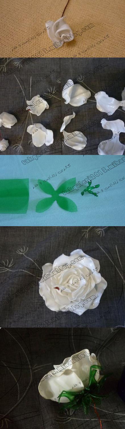 http://s4.picofile.com/file/7840018060/BOTRI_578_2_.jpg