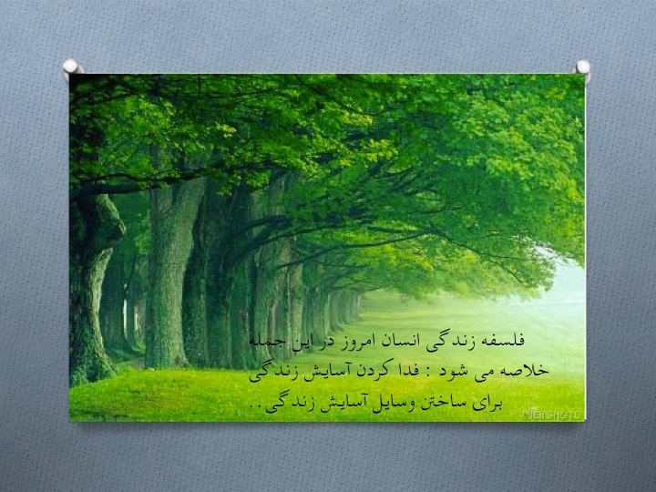 پاسخ به:اینجا همه چیز عالیه!!