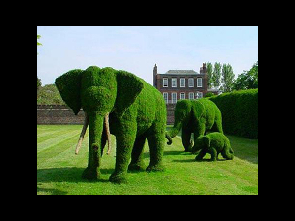 http://s4.picofile.com/file/7856023224/Creative_1.jpg