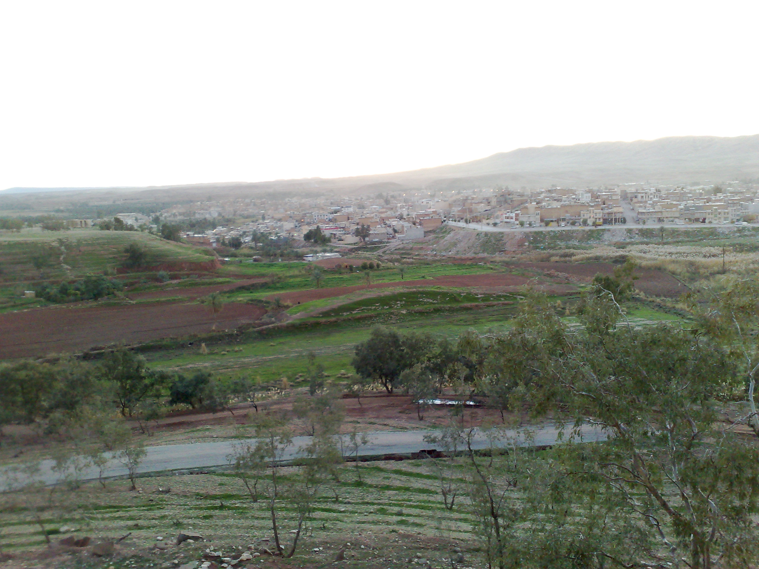 قصرشیرین