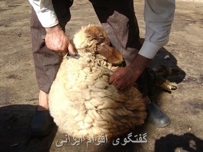 گفتگوی اقوام ایرانی