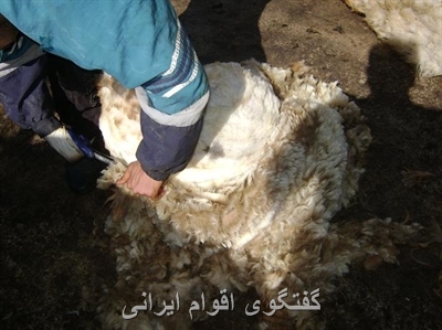 گفتگوی اقوام ایرانی