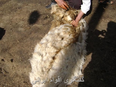 گفتگوی اقوام ایرانی