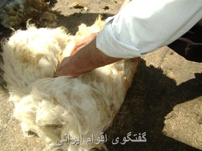 گفتگوی اقوام ایرانی