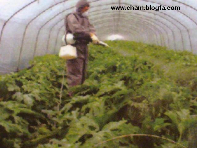 دستگاه مه پاش