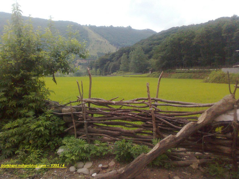 http://s4.picofile.com/file/7860132575/%D8%B2%D8%A8%D8%A7%D9%86_%D9%86%D8%A7%D8%AA%D9%88%D8%A7%D9%86.jpg