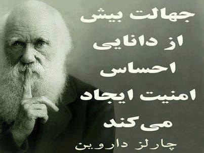پاسخ به:اینجا همه چیز عالیه!!