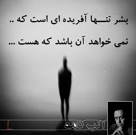پاسخ به:اینجا همه چیز عالیه!!