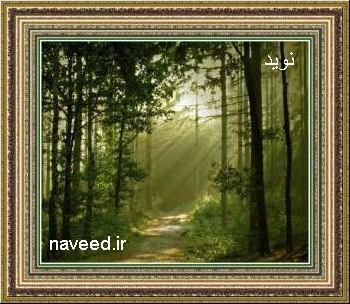 http://s4.picofile.com/file/7863110535/naveed_jpg.jpg